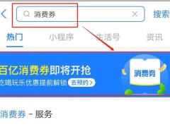 支付宝全国版消费券怎么用？消费券使用规则及领取时间表[多图]